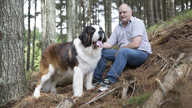 Lusanne Saint Bernards 630X354