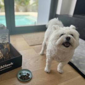 Janet High Meat Red Meat