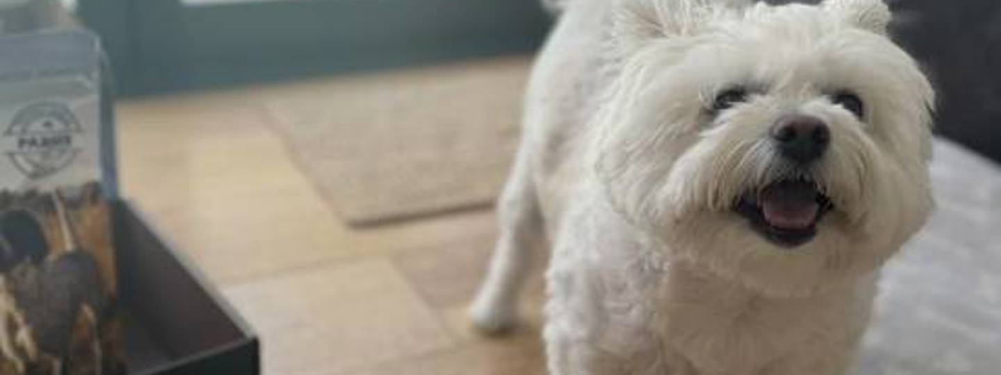 Janet High Meat Red Meat background image