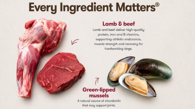 Working Dog 630X354 Every Ingredient Matters