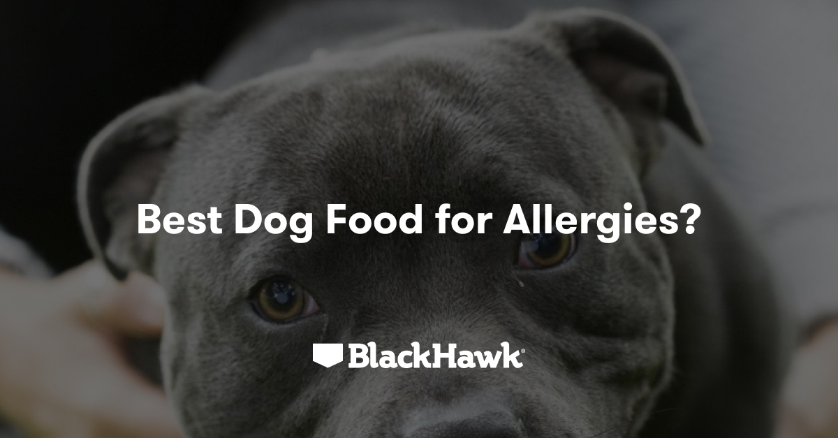 Fresh Food for Dogs with Allergies & Sensitivities - Special Diets