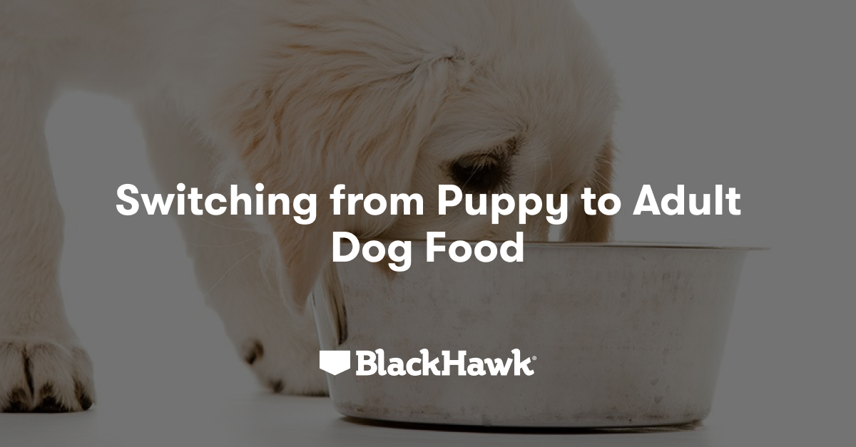 Got a growing pup on your hands? Here, we share essential tips on how