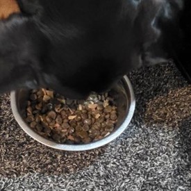 Mel Original Wet Pouch Chicken 450X450