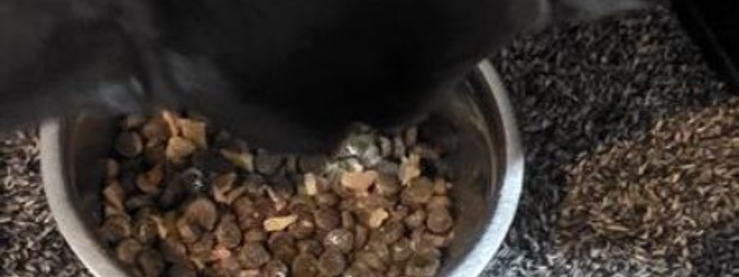 Mel Original Wet Pouch Chicken 450X450 background image