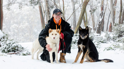 Mt Baw Baw Dingoes 2140X1200